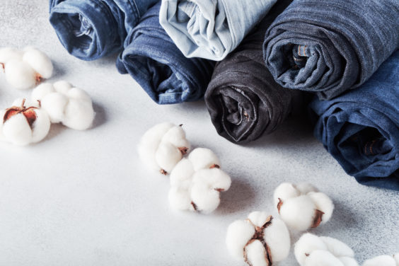 Rolled jeans and cotton flowers on light background