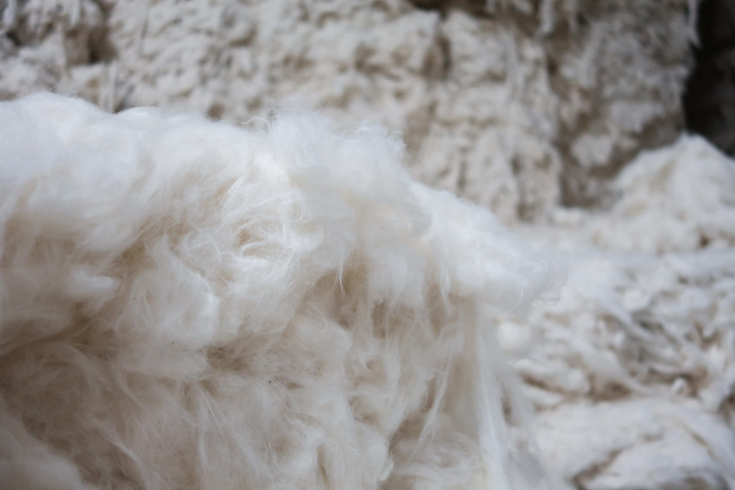 Raw Materials: With partners like Oritain, combined with our work towards sourcing responsible fibers such as hemp, Tencel, Ciclo and Repreve, we are making our supply chain more sustainable.