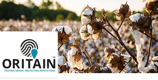 Cone Denim | Sustainability : Sustainble Cotton, Fibers, Dyes, Processes